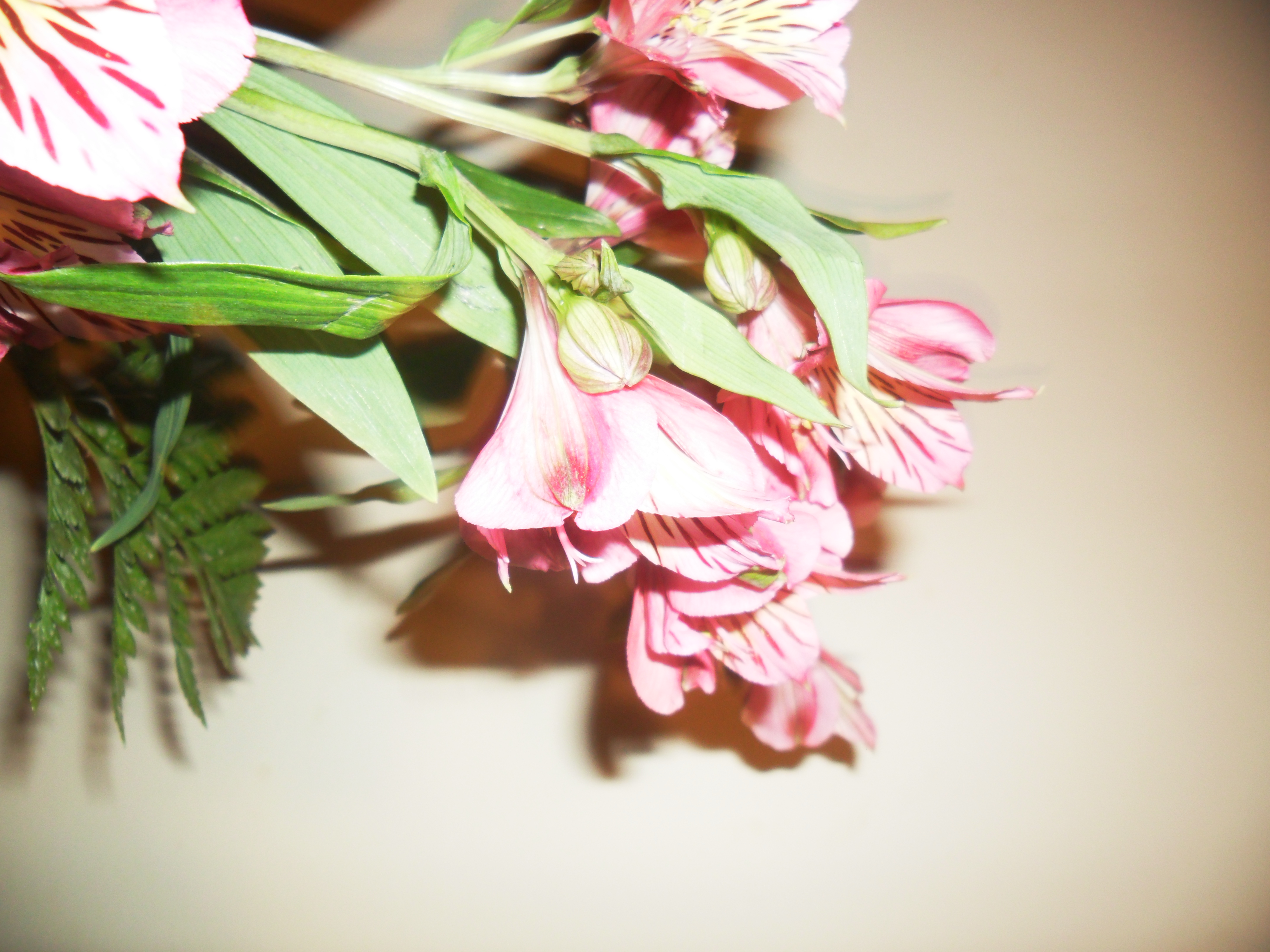 foto 014.jpg