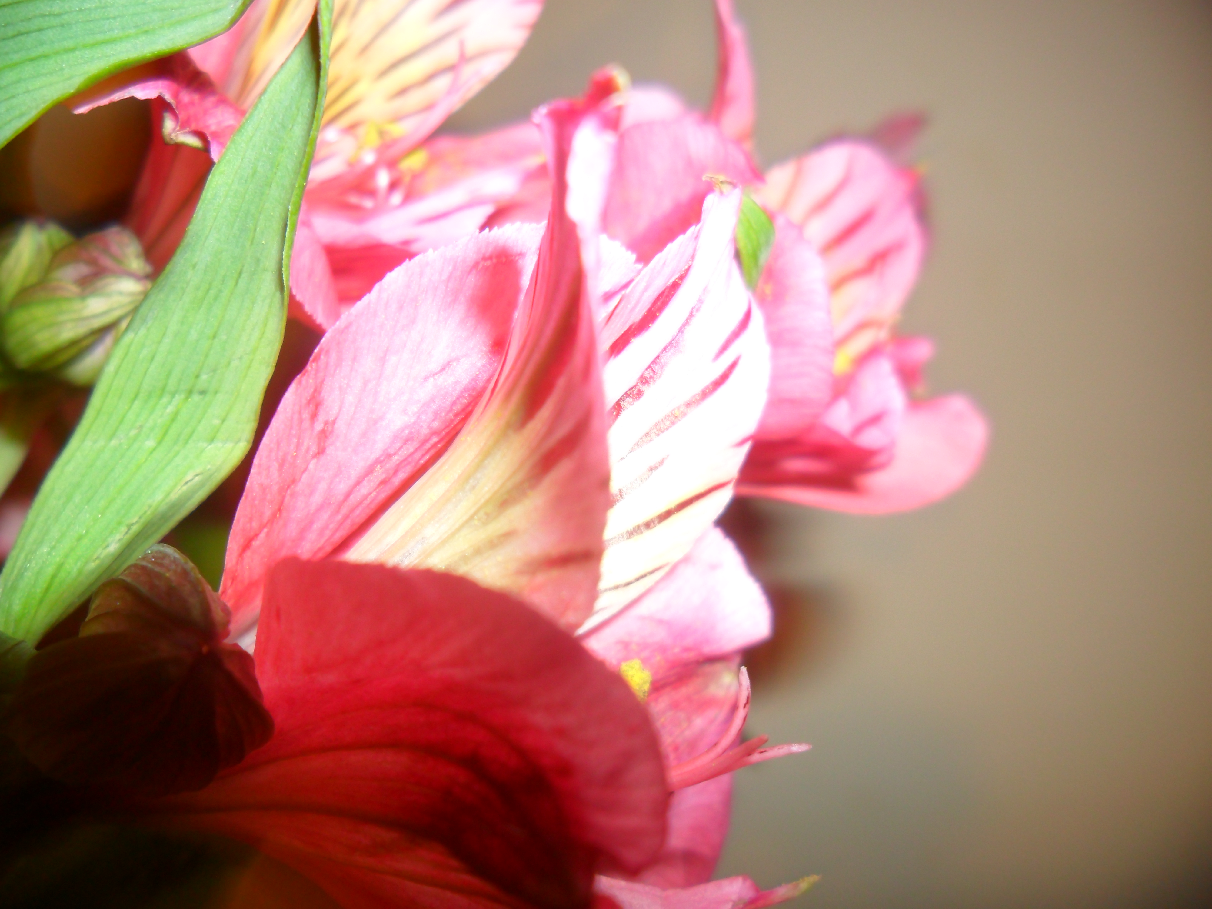 foto 017.jpg